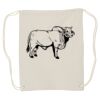 Canvas Drawstring Backpack Thumbnail