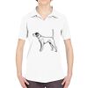 Ladies' Cool & Dry Sport Performance Interlock Polo Thumbnail