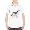 Ladies' Cool & Dry Sport Performance Interlock Polo Thumbnail