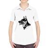 Ladies' Cool & Dry Sport Performance Interlock Polo Thumbnail