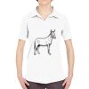 Ladies' Cool & Dry Sport Performance Interlock Polo Thumbnail