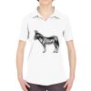 Ladies' Cool & Dry Sport Performance Interlock Polo Thumbnail